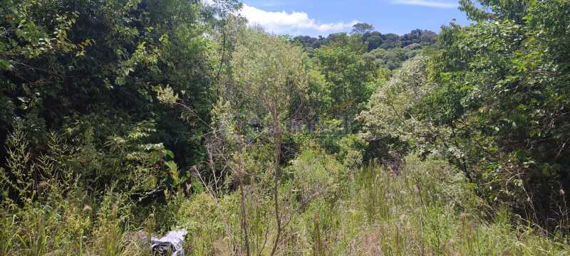 Foto 1 de 9: Terreno em leilão em Panambi - RS — LOTE 006 Uma fração de terras de cultura, com área de 25.871,02m², localizada na Linha Iriapira I ,
