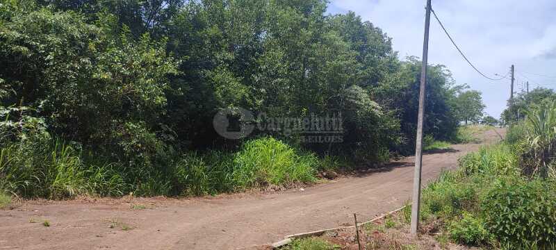 Foto 2 de 9: Terreno em leilão em Panambi - RS — LOTE 006 Uma fração de terras de cultura, com área de 25.871,02m², localizada na Linha Iriapira I ,