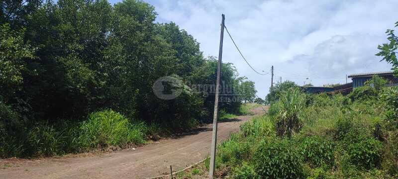 Foto 3 de 9: Terreno em leilão em Panambi - RS — LOTE 006 Uma fração de terras de cultura, com área de 25.871,02m², localizada na Linha Iriapira I ,