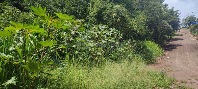 Foto 4 de 9: Terreno em leilão em Panambi - RS — LOTE 006 Uma fração de terras de cultura, com área de 25.871,02m², localizada na Linha Iriapira I ,