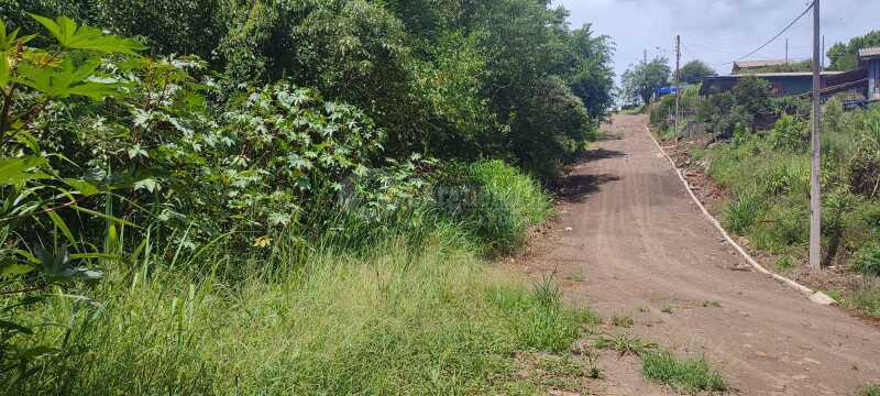 Foto 5 de 9: Terreno em leilão em Panambi - RS — LOTE 006 Uma fração de terras de cultura, com área de 25.871,02m², localizada na Linha Iriapira I ,