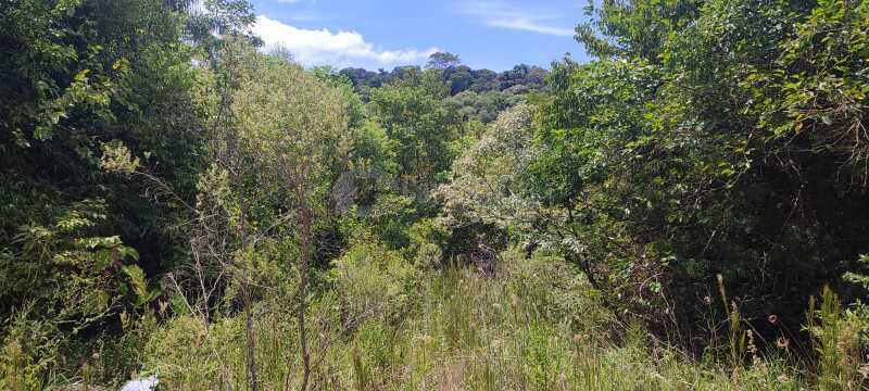 Foto 6 de 9: Terreno em leilão em Panambi - RS — LOTE 006 Uma fração de terras de cultura, com área de 25.871,02m², localizada na Linha Iriapira I ,