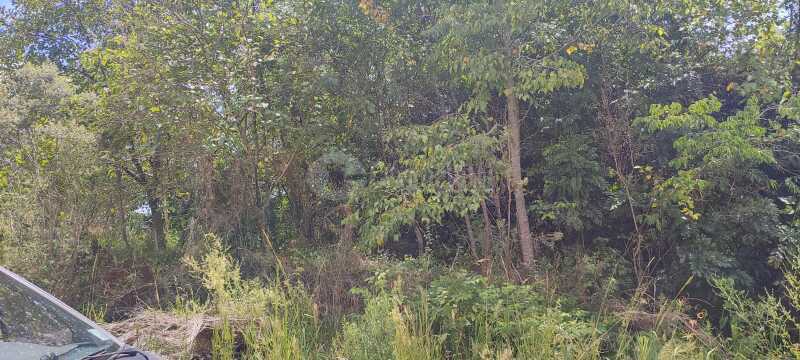 Foto 8 de 9: Terreno em leilão em Panambi - RS — LOTE 006 Uma fração de terras de cultura, com área de 25.871,02m², localizada na Linha Iriapira I ,