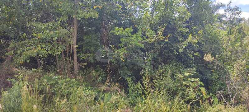 Foto 9 de 9: Terreno em leilão em Panambi - RS — LOTE 006 Uma fração de terras de cultura, com área de 25.871,02m², localizada na Linha Iriapira I ,