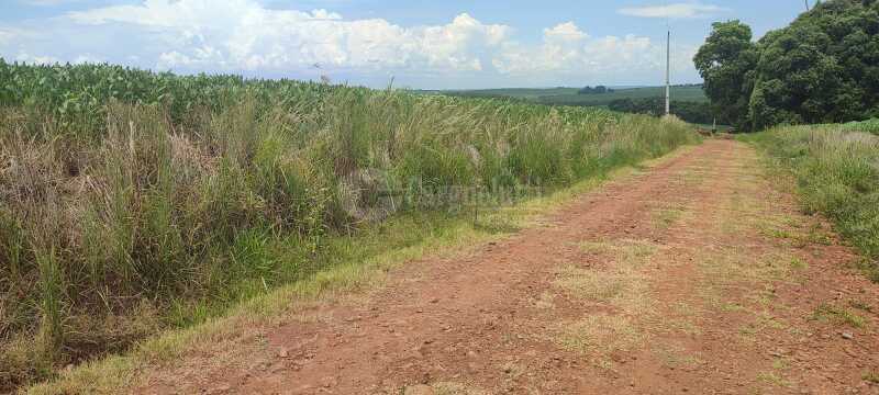 Foto 1 de 5: Terreno em leilão em Fortaleza Dos Valos - RS — LOTE 002 - DIREITOS E AÇÕES - Uma fração de terras de cultura, sem benfeitorias, situada na Fazenda
