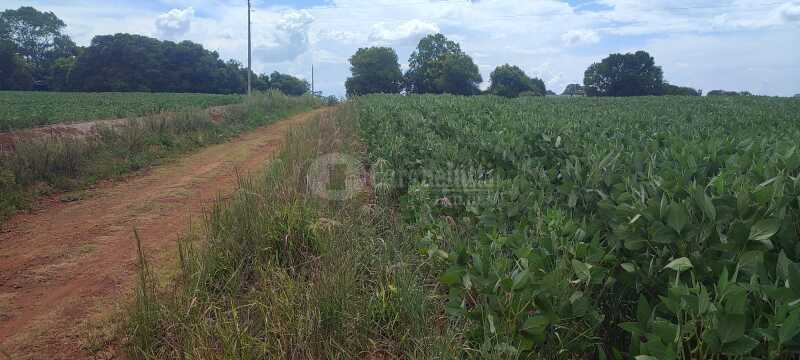 Foto 3 de 5: Terreno em leilão em Fortaleza Dos Valos - RS — LOTE 002 - DIREITOS E AÇÕES - Uma fração de terras de cultura, sem benfeitorias, situada na Fazenda