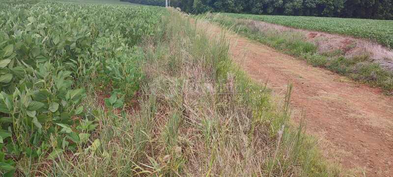 Foto 4 de 5: Terreno em leilão em Fortaleza Dos Valos - RS — LOTE 002 - DIREITOS E AÇÕES - Uma fração de terras de cultura, sem benfeitorias, situada na Fazenda
