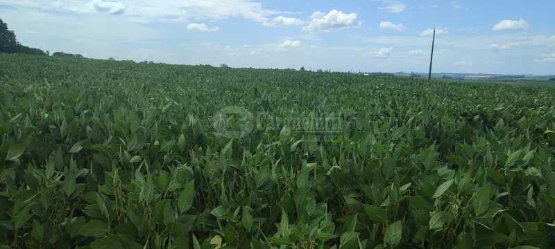 Foto 5 de 5: Terreno em leilão em Fortaleza Dos Valos - RS — LOTE 002 - DIREITOS E AÇÕES - Uma fração de terras de cultura, sem benfeitorias, situada na Fazenda