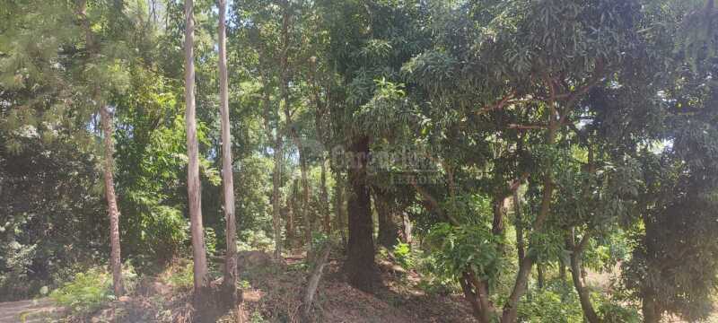 Foto 5 de 9: Terreno em leilão em São Paulo Das Missões - RS — LOTE 001-1 Cotas-partes do imóvel c/ área de 1.513,92m² , Pinheiro Machado, São Paulo das Missões/RS