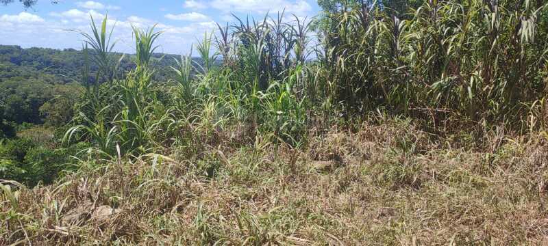 Foto 6 de 9: Terreno em leilão em São Paulo Das Missões - RS — LOTE 001-1 Cotas-partes do imóvel c/ área de 1.513,92m² , Pinheiro Machado, São Paulo das Missões/RS