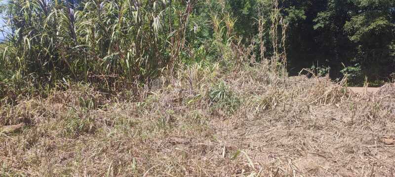 Foto 7 de 9: Terreno em leilão em São Paulo Das Missões - RS — LOTE 001-1 Cotas-partes do imóvel c/ área de 1.513,92m² , Pinheiro Machado, São Paulo das Missões/RS
