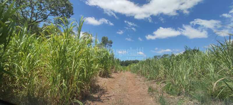 Foto 2 de 8: Terreno em leilão em São Paulo Das Missões - RS — LOTE 001-2 Cotas-partes do imóvel com área de 16.000m² Pinheiro Machado, São Paulo das Missões/RS
