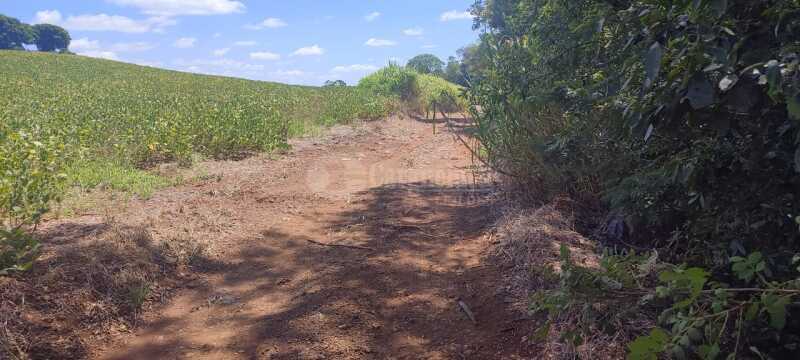 Foto 3 de 8: Terreno em leilão em São Paulo Das Missões - RS — LOTE 001-2 Cotas-partes do imóvel com área de 16.000m² Pinheiro Machado, São Paulo das Missões/RS