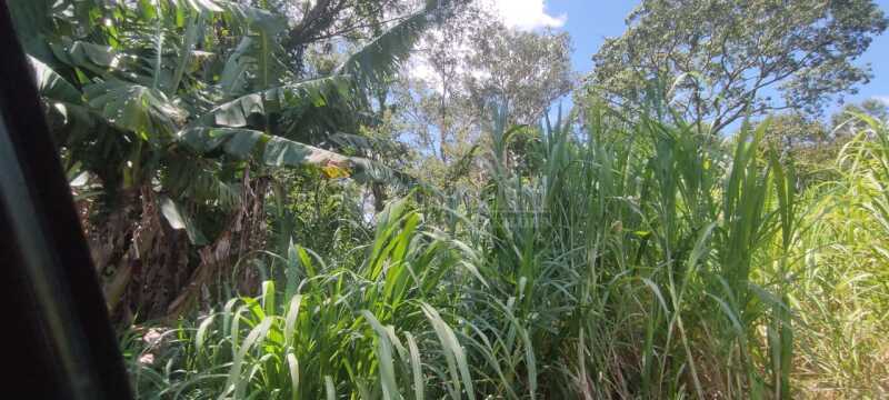 Foto 4 de 8: Terreno em leilão em São Paulo Das Missões - RS — LOTE 001-2 Cotas-partes do imóvel com área de 16.000m² Pinheiro Machado, São Paulo das Missões/RS