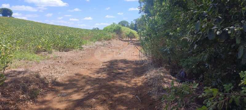 Foto 6 de 8: Terreno em leilão em São Paulo Das Missões - RS — LOTE 001-2 Cotas-partes do imóvel com área de 16.000m² Pinheiro Machado, São Paulo das Missões/RS