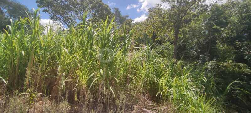 Foto 8 de 8: Terreno em leilão em São Paulo Das Missões - RS — LOTE 001-2 Cotas-partes do imóvel com área de 16.000m² Pinheiro Machado, São Paulo das Missões/RS