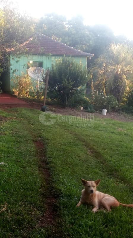 Foto 2 de 15: Area Rural em leilão em Catuípe - RS — LOTE 001 21.832,89m² em Rincão dos Botega, Catuípe/RS