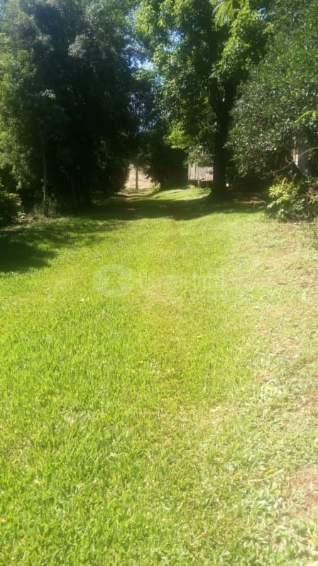 Foto 6 de 15: Area Rural em leilão em Catuípe - RS — LOTE 001 21.832,89m² em Rincão dos Botega, Catuípe/RS