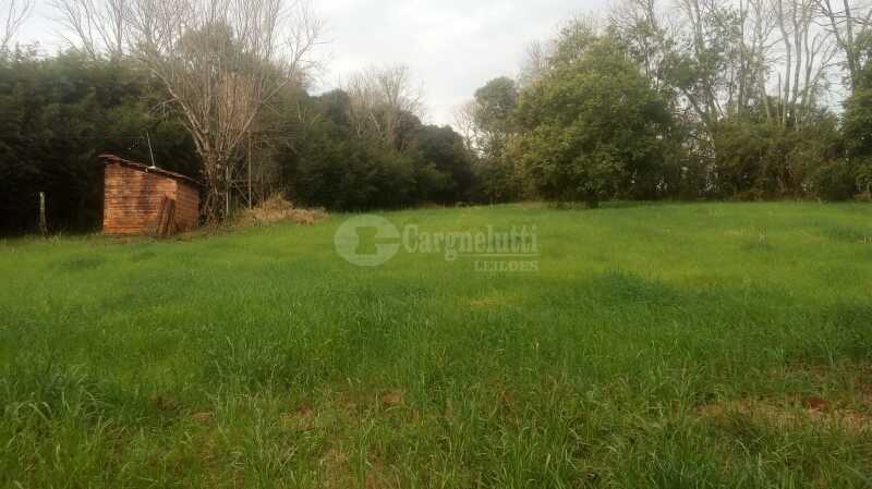 Foto 7 de 15: Area Rural em leilão em Catuípe - RS — LOTE 001 21.832,89m² em Rincão dos Botega, Catuípe/RS