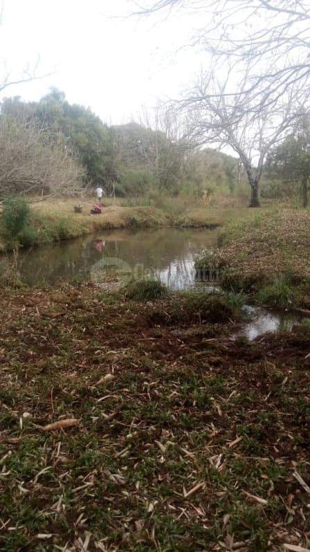 Foto 8 de 15: Area Rural em leilão em Catuípe - RS — LOTE 001 21.832,89m² em Rincão dos Botega, Catuípe/RS