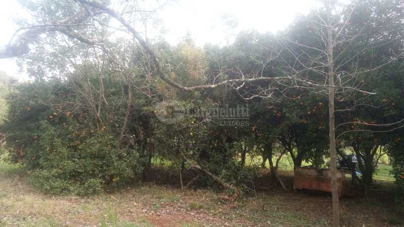 Foto 9 de 15: Area Rural em leilão em Catuípe - RS — LOTE 001 21.832,89m² em Rincão dos Botega, Catuípe/RS