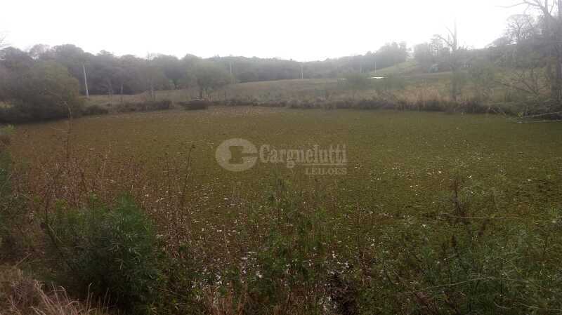 Foto 10 de 15: Area Rural em leilão em Catuípe - RS — LOTE 001 21.832,89m² em Rincão dos Botega, Catuípe/RS