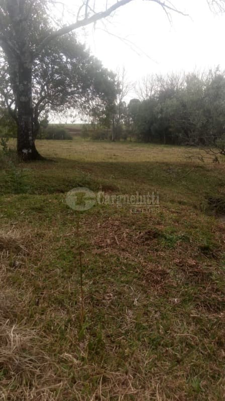 Foto 11 de 15: Area Rural em leilão em Catuípe - RS — LOTE 001 21.832,89m² em Rincão dos Botega, Catuípe/RS
