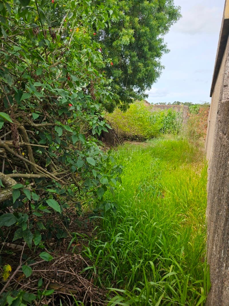 Foto 4 de 13: Terreno em leilão em Camaquã - RS, bairro Gaúcho — LOTE 001 Terreno na Rua Juvenil Emílio Dias, Bairro Gaúcho, Camaquã/RS