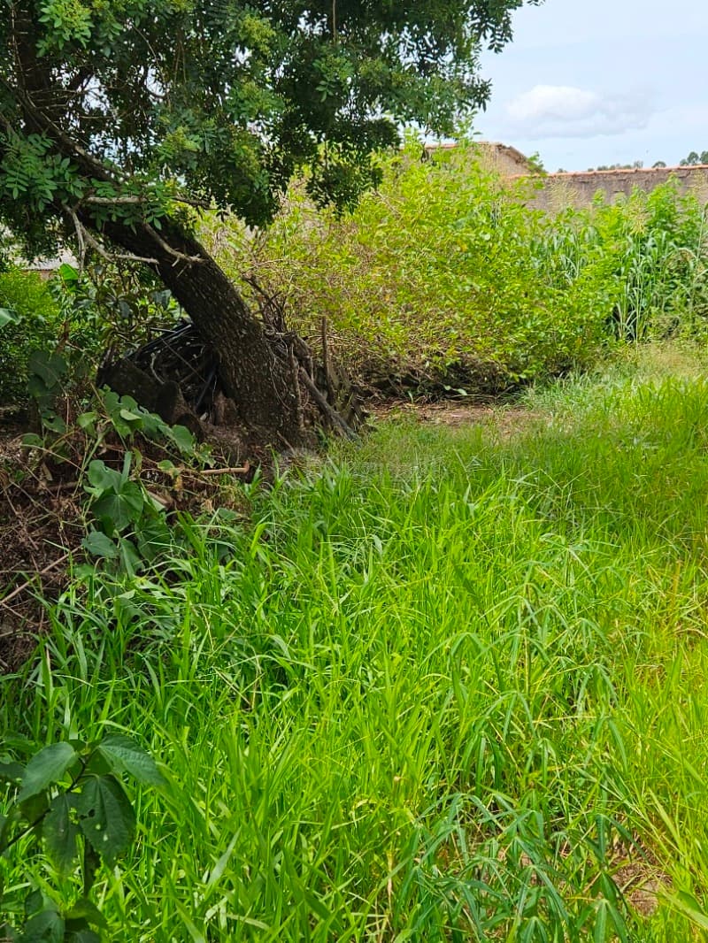Foto 5 de 13: Terreno em leilão em Camaquã - RS, bairro Gaúcho — LOTE 001 Terreno na Rua Juvenil Emílio Dias, Bairro Gaúcho, Camaquã/RS