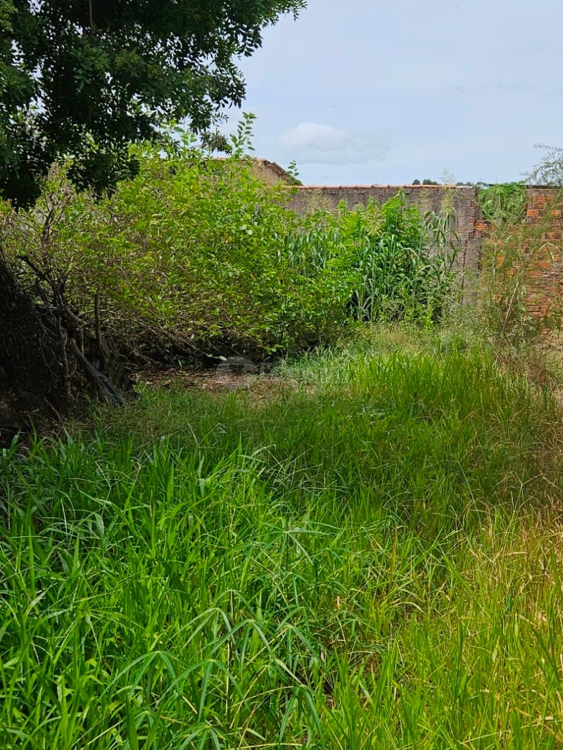 Foto 6 de 13: Terreno em leilão em Camaquã - RS, bairro Gaúcho — LOTE 001 Terreno na Rua Juvenil Emílio Dias, Bairro Gaúcho, Camaquã/RS