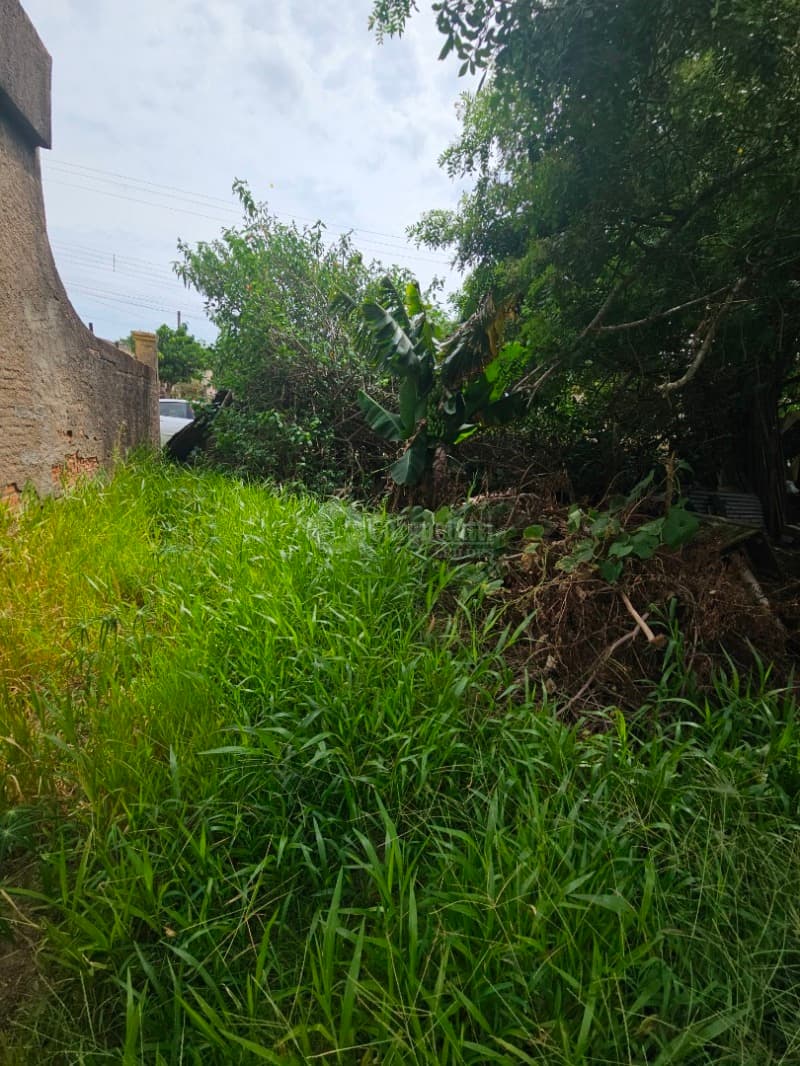 Foto 7 de 13: Terreno em leilão em Camaquã - RS, bairro Gaúcho — LOTE 001 Terreno na Rua Juvenil Emílio Dias, Bairro Gaúcho, Camaquã/RS
