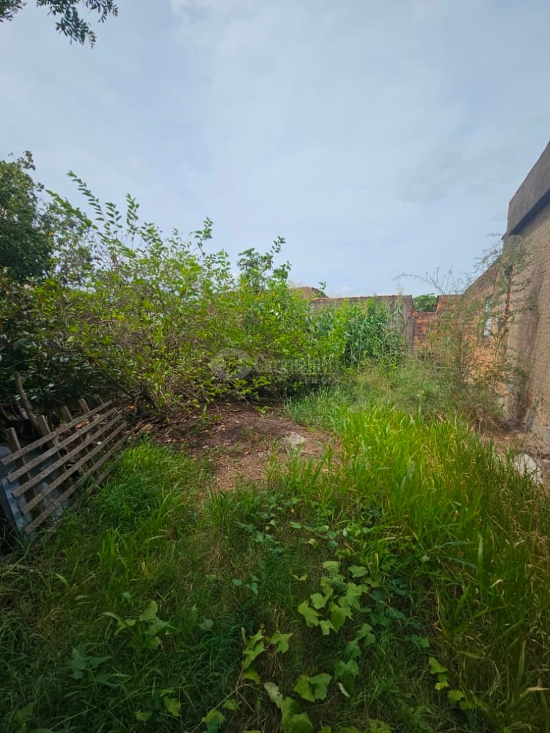 Foto 8 de 13: Terreno em leilão em Camaquã - RS, bairro Gaúcho — LOTE 001 Terreno na Rua Juvenil Emílio Dias, Bairro Gaúcho, Camaquã/RS