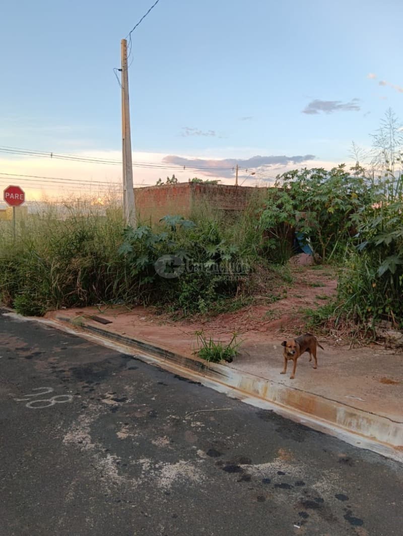Foto 3 de 6: Terreno em leilão em Mirassol - SP, bairro Jardim Gerotto — LOTE 470 MIRASSOL/SP - Não aceita financiamento