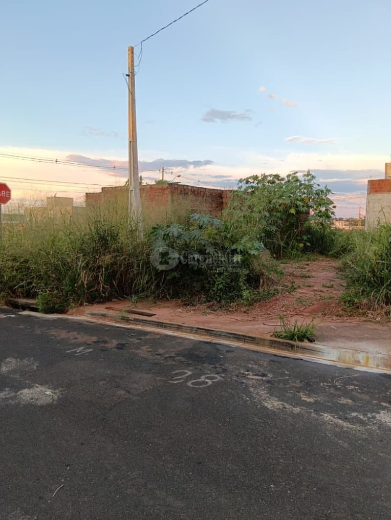 Foto 6 de 6: Terreno em leilão em Mirassol - SP, bairro Jardim Gerotto — LOTE 470 MIRASSOL/SP - Não aceita financiamento