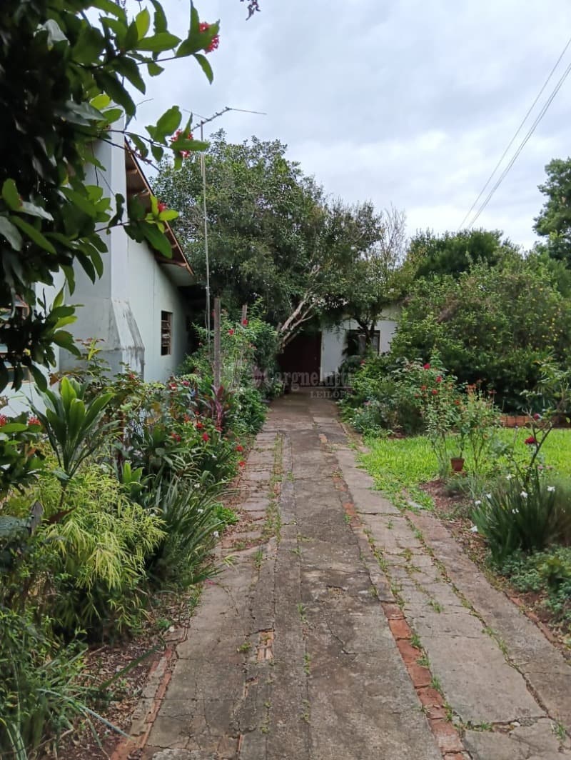 Foto 4 de 4: Terreno em leilão em Ijuí - RS, bairro Glória — LOTE 008 Um terreno urbano, c/área de 340m², situado à rua Ceará, bairro Glória, n/c Sobre o imóvel