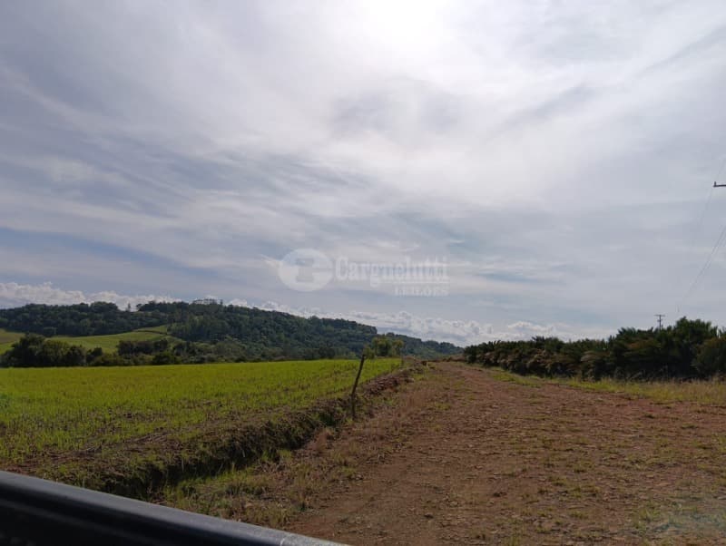 Foto 3 de 7: Terreno em leilão em Guarani Das Missões - RS — LOTE 001 4has na Linha do Rio atual Bom Jardim Norte, Guarani das Missões/RS