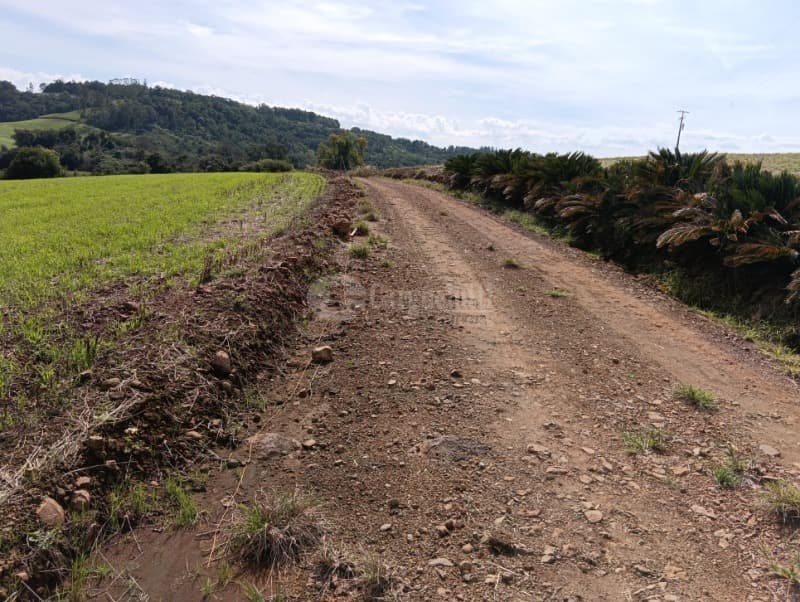 Foto 4 de 7: Terreno em leilão em Guarani Das Missões - RS — LOTE 001 4has na Linha do Rio atual Bom Jardim Norte, Guarani das Missões/RS