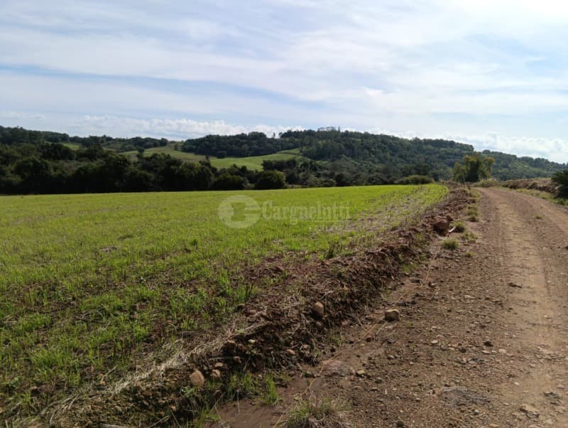 Foto 5 de 7: Terreno em leilão em Guarani Das Missões - RS — LOTE 001 4has na Linha do Rio atual Bom Jardim Norte, Guarani das Missões/RS