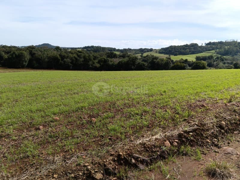 Foto 1 de 7: Terreno em leilão em Guarani Das Missões - RS — LOTE 001 4has na Linha do Rio atual Bom Jardim Norte, Guarani das Missões/RS