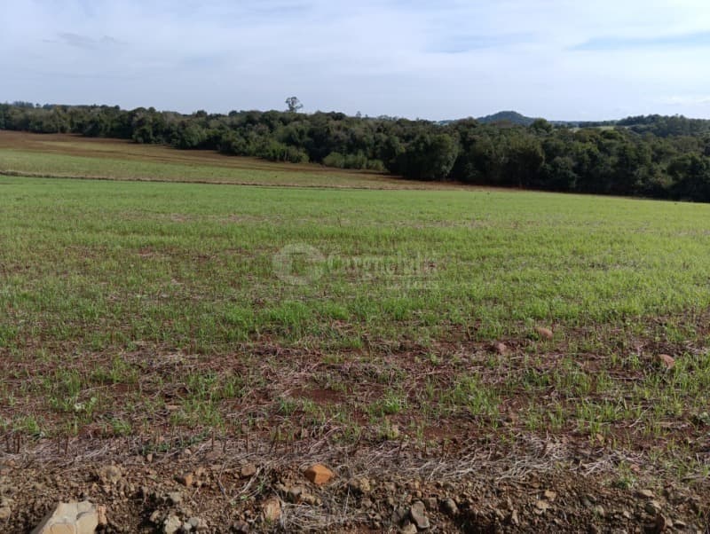 Foto 6 de 7: Terreno em leilão em Guarani Das Missões - RS — LOTE 001 4has na Linha do Rio atual Bom Jardim Norte, Guarani das Missões/RS