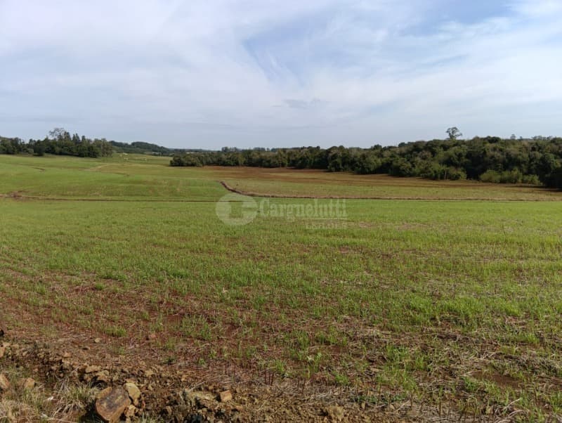 Foto 7 de 7: Terreno em leilão em Guarani Das Missões - RS — LOTE 001 4has na Linha do Rio atual Bom Jardim Norte, Guarani das Missões/RS
