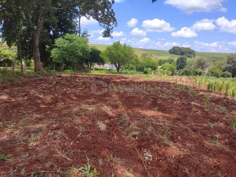 Foto 6 de 8: Terreno em leilão em Roque Gonzales - RS, bairro Vila Dona Otília — LOTE 022 1.100m², Dona Otília, Roque Gonzales/RS