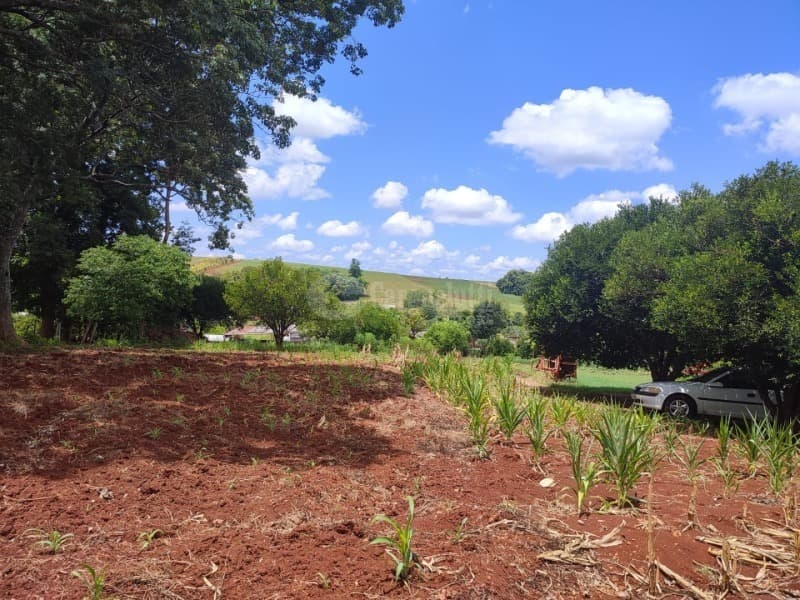Foto 8 de 8: Terreno em leilão em Roque Gonzales - RS, bairro Vila Dona Otília — LOTE 022 1.100m², Dona Otília, Roque Gonzales/RS