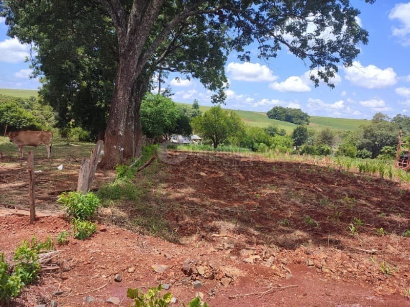 Foto 2 de 8: Terreno em leilão em Roque Gonzales - RS, bairro Vila Dona Otília — LOTE 022 1.100m², Dona Otília, Roque Gonzales/RS