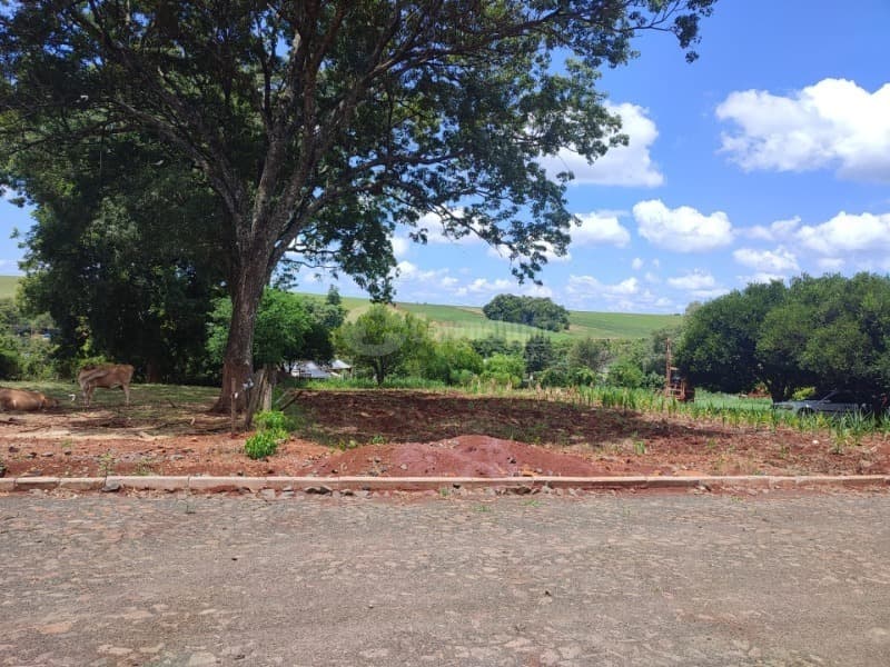Foto 1 de 8: Terreno em leilão em Roque Gonzales - RS, bairro Vila Dona Otília — LOTE 022 1.100m², Dona Otília, Roque Gonzales/RS