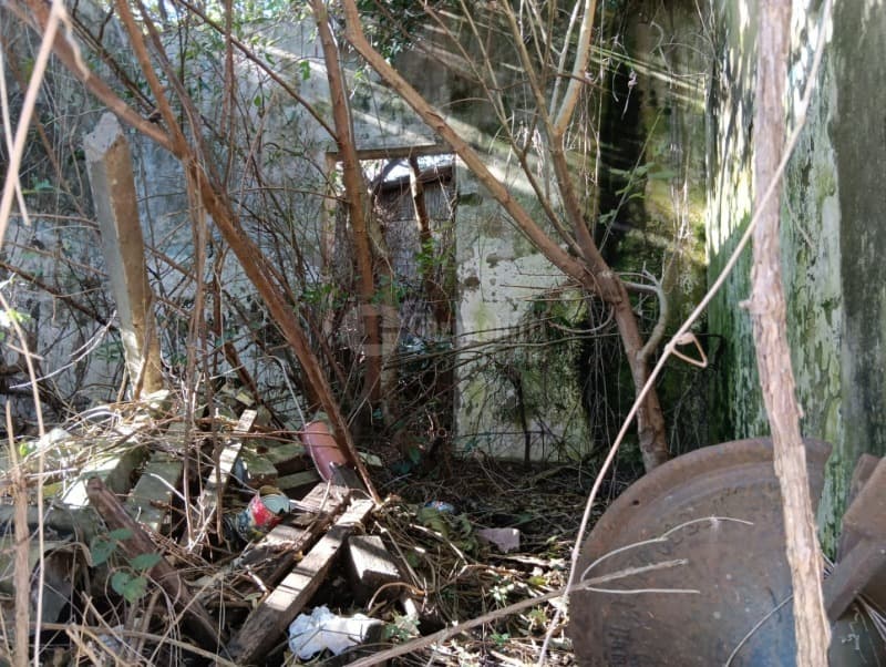Foto 18 de 34: Comercial em leilão em Cruz Alta - RS — LOTE 004 Três prédios de alvenaria, situados à rua Padre Pacheco, nº 443, 447 e 467 - CRUZ ALTA/RS