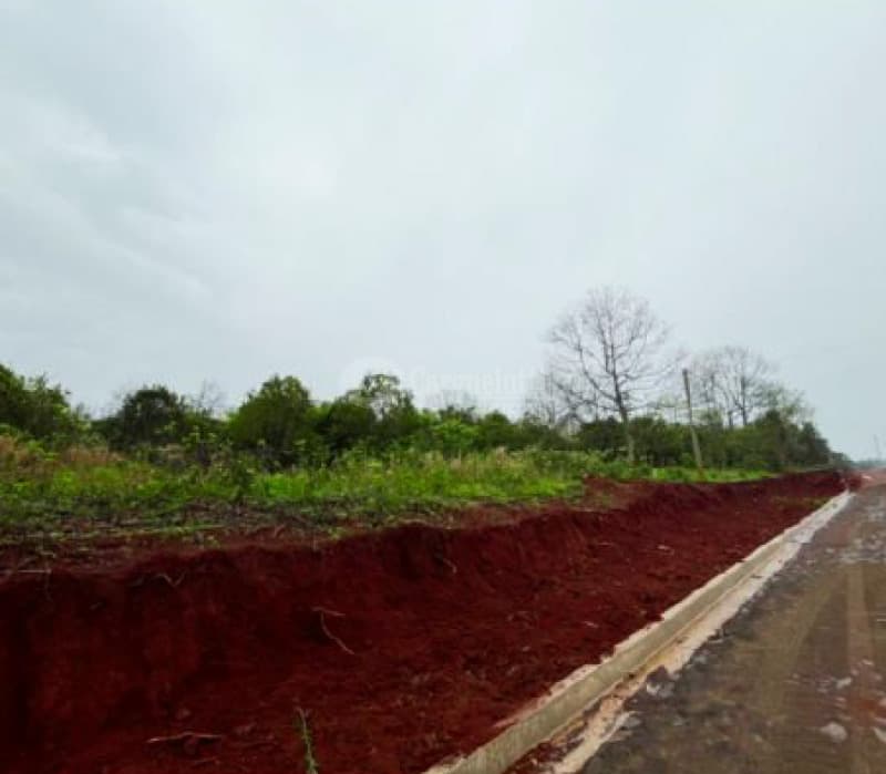 Foto 2 de 6: Area Rural em leilão em Santa Rosa - RS — LOTE 001 Complexo Logístico: Um fração de terras rurais com área de 34.030m², Com benfeitorias - SAN