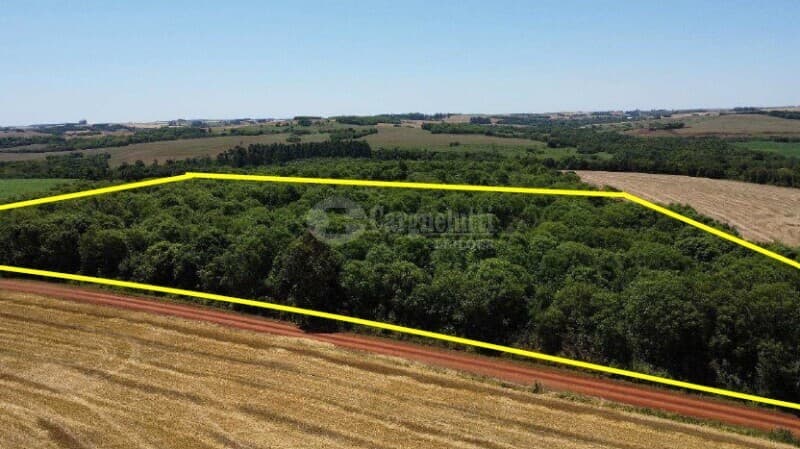 Foto 3 de 6: Terreno em leilão em Guarani Das Missões - RS — LOTE 008 1,25 HAS DE PARTE DO LOTE RURAL Nº 6 DA LINHA DO RIO – GUARANI DAS MISSÕES/RS