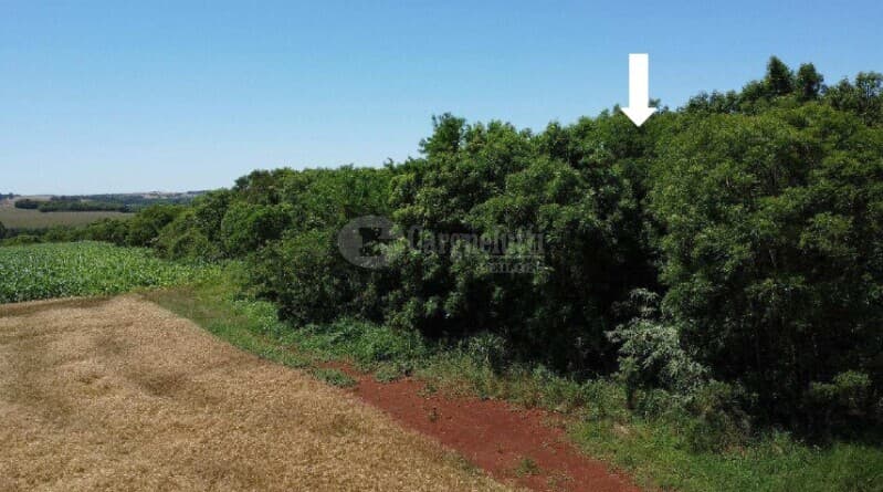 Foto 6 de 6: Terreno em leilão em Guarani Das Missões - RS — LOTE 008 1,25 HAS DE PARTE DO LOTE RURAL Nº 6 DA LINHA DO RIO – GUARANI DAS MISSÕES/RS