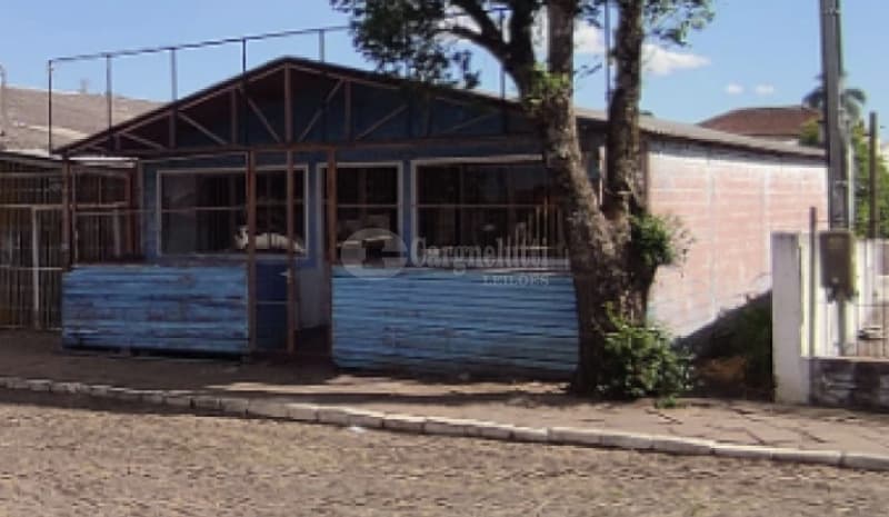 Foto 6 de 7: Terreno em leilão em Pinhal Grande - RS, bairro Limeira — LOTE 006 Um terreno foreiro remido, com área de 500m² - PINHAL GRANDE/RS
